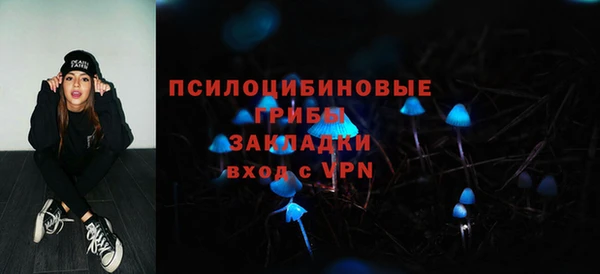 МДПВ Семикаракорск