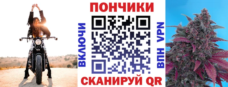 Марихуана Amnesia  гидра как войти  Бологое 